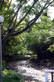 Creek through the middle of Nuku Hiva