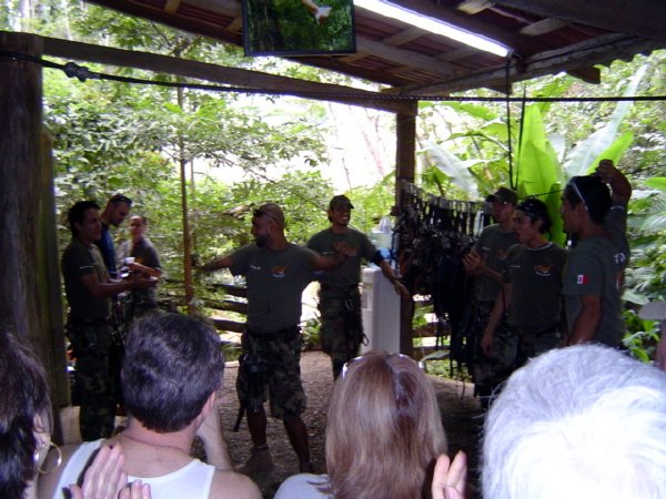The great guides that lead us through the jungle canopy