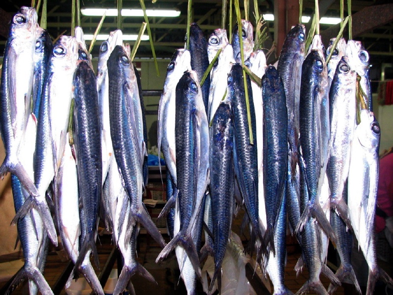 The infamous flying fish.