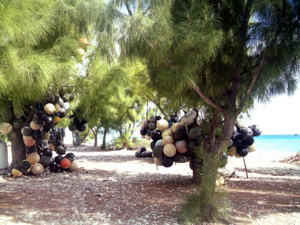 Floats waiting to mark a new pearl farm