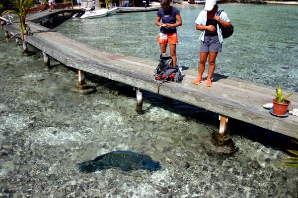 He is nearly as large as Lisa